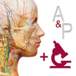 Anatomy Physiology Android 2019 Logo