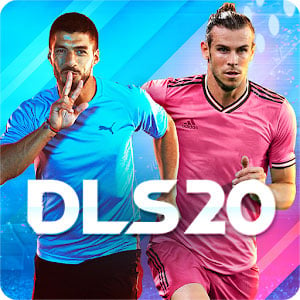 DLS 20 Logo