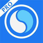 DMD Panorama Pro Logo1