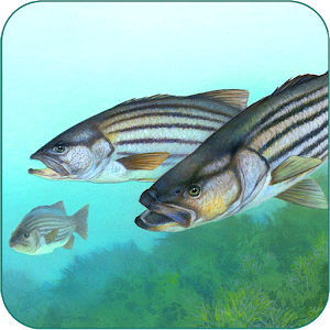 Fishing Fanatic Fishing App with Solunar Charts