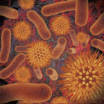 Infectious Disease Compendium