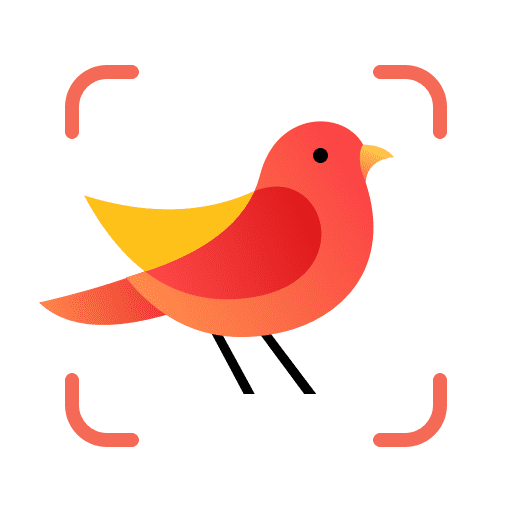 bird identifier logo