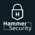 hammer security logo