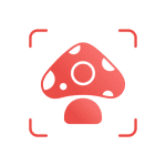 picture mushroom mushroom id logo