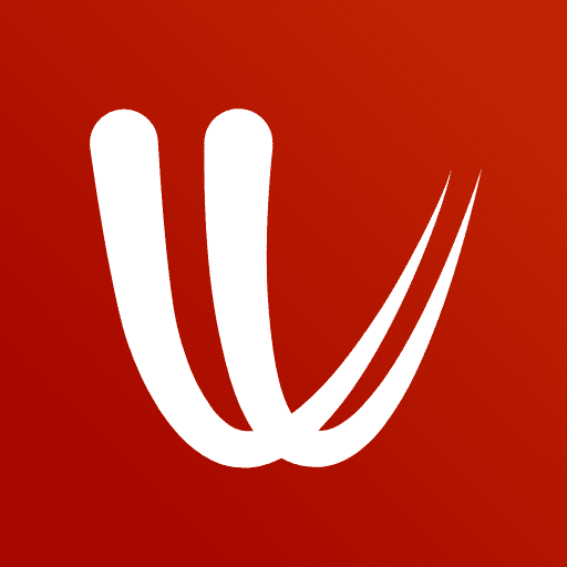 windy com logo